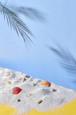 Kumsal arka planı kum, palmiye ve deniz kabuğu. Yaz konsepti. Üst Manzara. Boşluğu kopyala