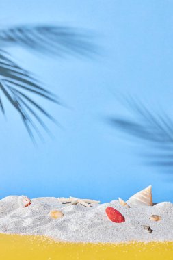 Tropikal plaj, deniz zemininde kum ve palmiye.