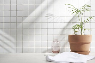 Beyaz seramik zemin üzerinde çeşitli nesneler ve sıcak güneş ışığı içinden geçiyor..