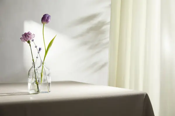 Doğal Işık ve Bitki Dekorasyonu ile Minimalist Ev İçi.