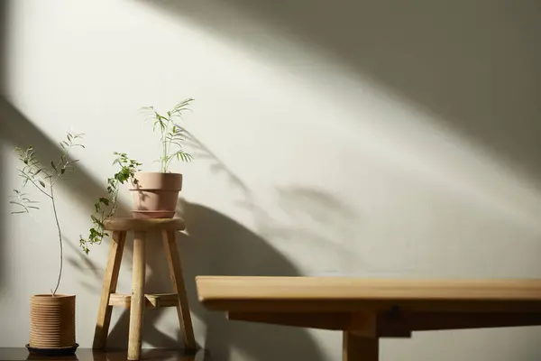 Bej renkli iç döşeme, güneşli duvarlar ve çeşitli nesneler..