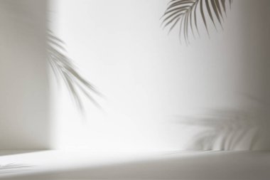 Palmiye yaprağı gölgeli monoton arkaplan duvarı