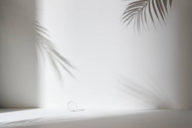 Palmiye yaprağı gölgeli monoton arkaplan duvarı