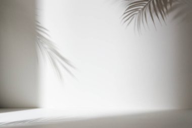 Palmiye yaprağı gölgeli monoton arkaplan duvarı