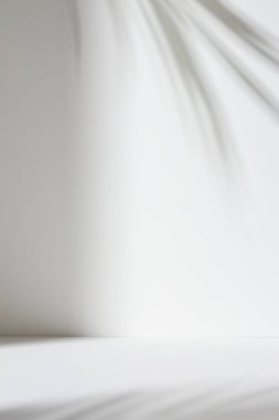 Palmiye yaprağı gölgeli monoton arkaplan duvarı