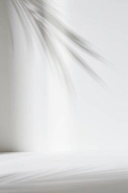 Palmiye yaprağı gölgeli monoton arkaplan duvarı