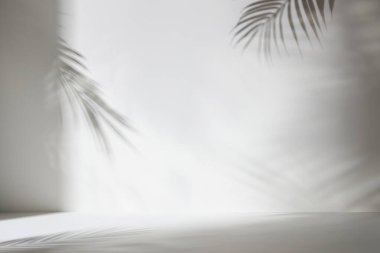Palmiye yaprağı gölgeli monoton arkaplan duvarı