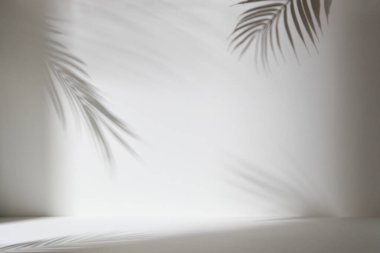 Palmiye yaprağı gölgeli monoton arkaplan duvarı