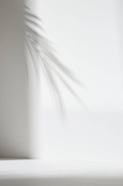 Palmiye yaprağı gölgeli monoton arkaplan duvarı