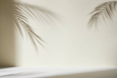 Palmiye yaprağı gölgeli monoton arkaplan duvarı