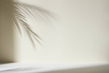 Palmiye yaprağı gölgeli monoton arkaplan duvarı