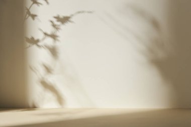 Palmiye yaprağı gölgeli monoton arkaplan duvarı