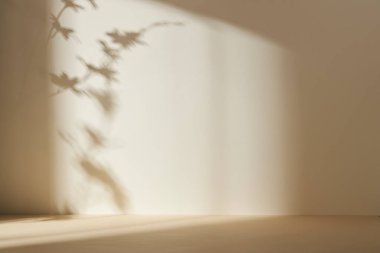 Palmiye yaprağı gölgeli monoton arkaplan duvarı