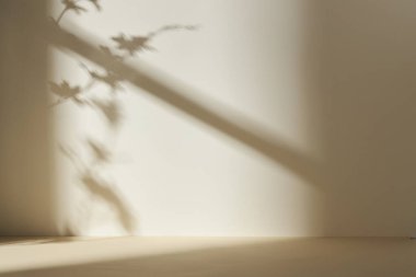 Palmiye yaprağı gölgeli monoton arkaplan duvarı