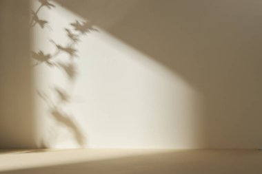 Palmiye yaprağı gölgeli monoton arkaplan duvarı