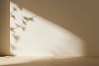 Palmiye yaprağı gölgeli monoton arkaplan duvarı