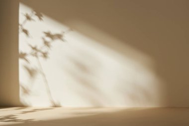 Palmiye yaprağı gölgeli monoton arkaplan duvarı