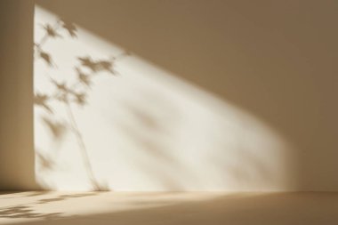 Palmiye yaprağı gölgeli monoton arkaplan duvarı