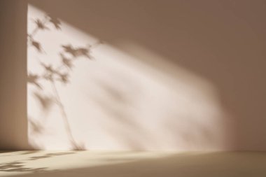 Palmiye yaprağı gölgeli monoton arkaplan duvarı