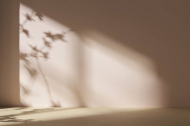 Palmiye yaprağı gölgeli monoton arkaplan duvarı