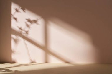 Palmiye yaprağı gölgeli monoton arkaplan duvarı