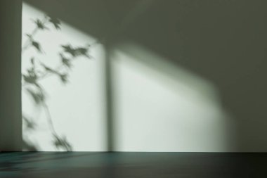 Palmiye yaprağı gölgeli monoton arkaplan duvarı