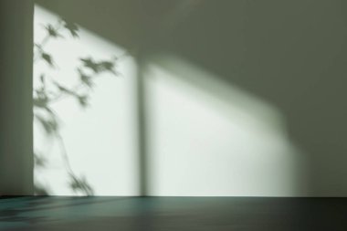 Palmiye yaprağı gölgeli monoton arkaplan duvarı