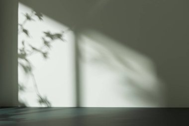 Palmiye yaprağı gölgeli monoton arkaplan duvarı