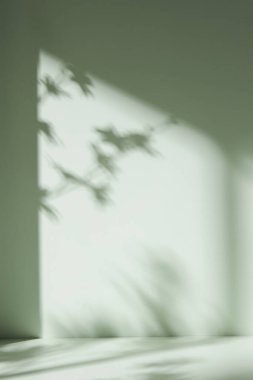 Palmiye yaprağı gölgeli monoton arkaplan duvarı