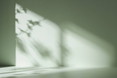 Palmiye yaprağı gölgeli monoton arkaplan duvarı