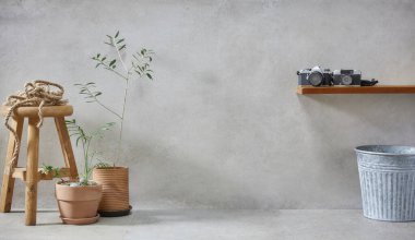 Sepet, zeytin ağacı, toprak kabı, dışkı ve klasik gri beton arka plan çeşitleri.