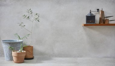 Sepet, zeytin ağacı, toprak kabı, dışkı ve klasik gri beton arka plan çeşitleri.