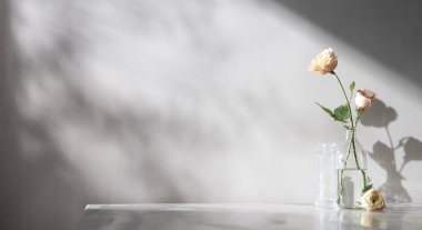 Pencerelerden süzülen güneş ışığı ve taze çiçeklerle dolu rahat bir ev.