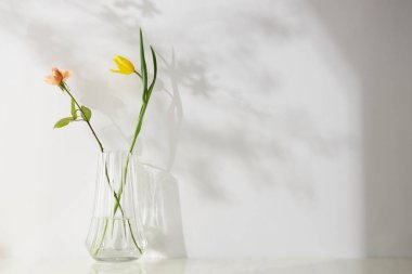 Pencerelerden süzülen güneş ışığı ve taze çiçeklerle dolu rahat bir ev.