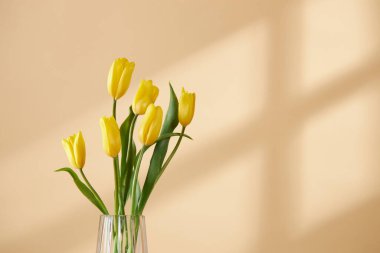 Pencerelerden süzülen güneş ışığı ve taze çiçeklerle dolu rahat bir ev.