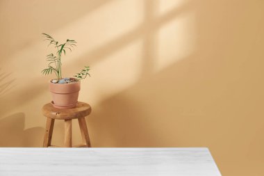 Pencerelerden süzülen güneş ışığı ve taze çiçeklerle dolu rahat bir ev.