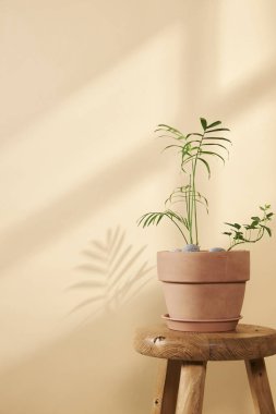 Pencerelerden süzülen güneş ışığı ve taze çiçeklerle dolu rahat bir ev.