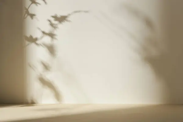 Palmiye yaprağı gölgeli monoton arkaplan duvarı