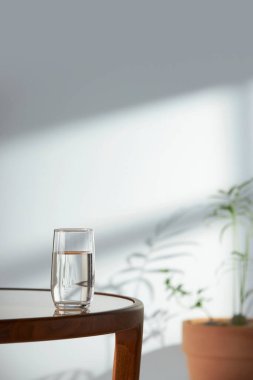 Bu odada doğal ışık ile sakin bir atmosfer var. Masada kil kaplar, cam şişeler, kahve ve çeşitli maddeler var..