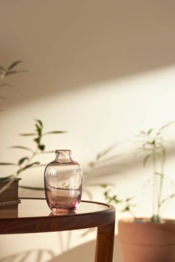 Bu odada doğal ışık ile sakin bir atmosfer var. Masada kil kaplar, cam şişeler, kahve ve çeşitli maddeler var..