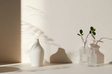 Ilık güneş ışığı, çimen yapraklarından gölgeler, masa üstünde vazo ve fincanlar gibi çeşitli nesnelerin olduğu bir oda.