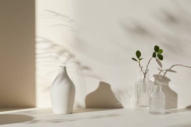 Ilık güneş ışığı, çimen yapraklarından gölgeler, masa üstünde vazo ve fincanlar gibi çeşitli nesnelerin olduğu bir oda.