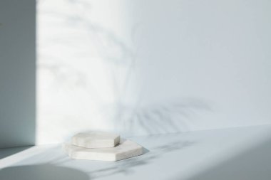 Ilık güneş ışığı, çimen yapraklarından gölgeler, masa üstünde vazo ve fincanlar gibi çeşitli nesnelerin olduğu bir oda.