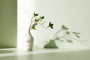 Ilık güneş ışığı, çimen yapraklarından gölgeler, masa üstünde vazo ve fincanlar gibi çeşitli nesnelerin olduğu bir oda.