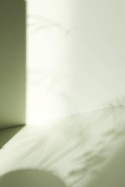 Ilık güneş ışığı, çimen yapraklarından gölgeler, masa üstünde vazo ve fincanlar gibi çeşitli nesnelerin olduğu bir oda.