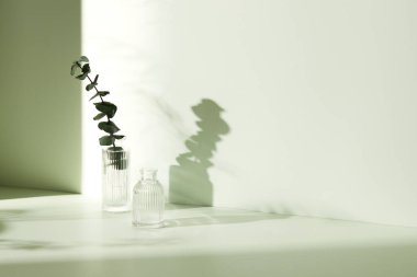 Ilık güneş ışığı, çimen yapraklarından gölgeler, masa üstünde vazo ve fincanlar gibi çeşitli nesnelerin olduğu bir oda.