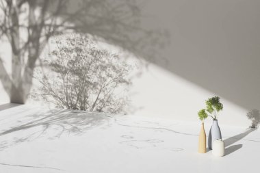 Vazolar, ağaçlar ve doğal ışıkla basit monoton arkaplan.