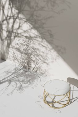 Vazolar, ağaçlar ve doğal ışıkla basit monoton arkaplan.