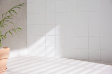 Banyo arka planında çeşitli aksesuarlar.