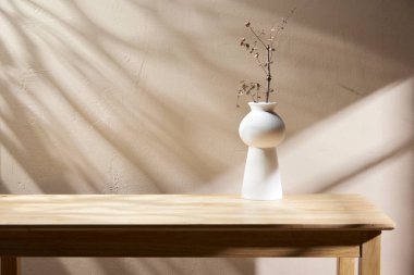 Sıcak öğle güneşinde sonbahar atmosferi olan çeşitli aksesuarlar..